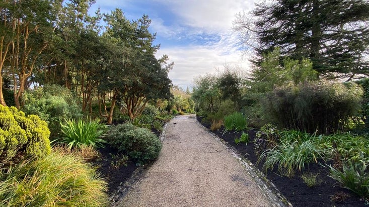 Mulching Entrance Route